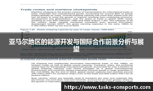 亚马尔地区的能源开发与国际合作前景分析与展望